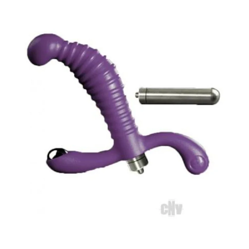 Vibro Prostate Massager Purple